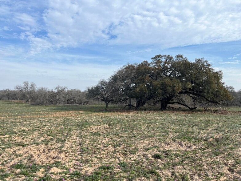 10382 W FM 476, Poteet, TX à vendre - Photo principale - Image 1 de 26
