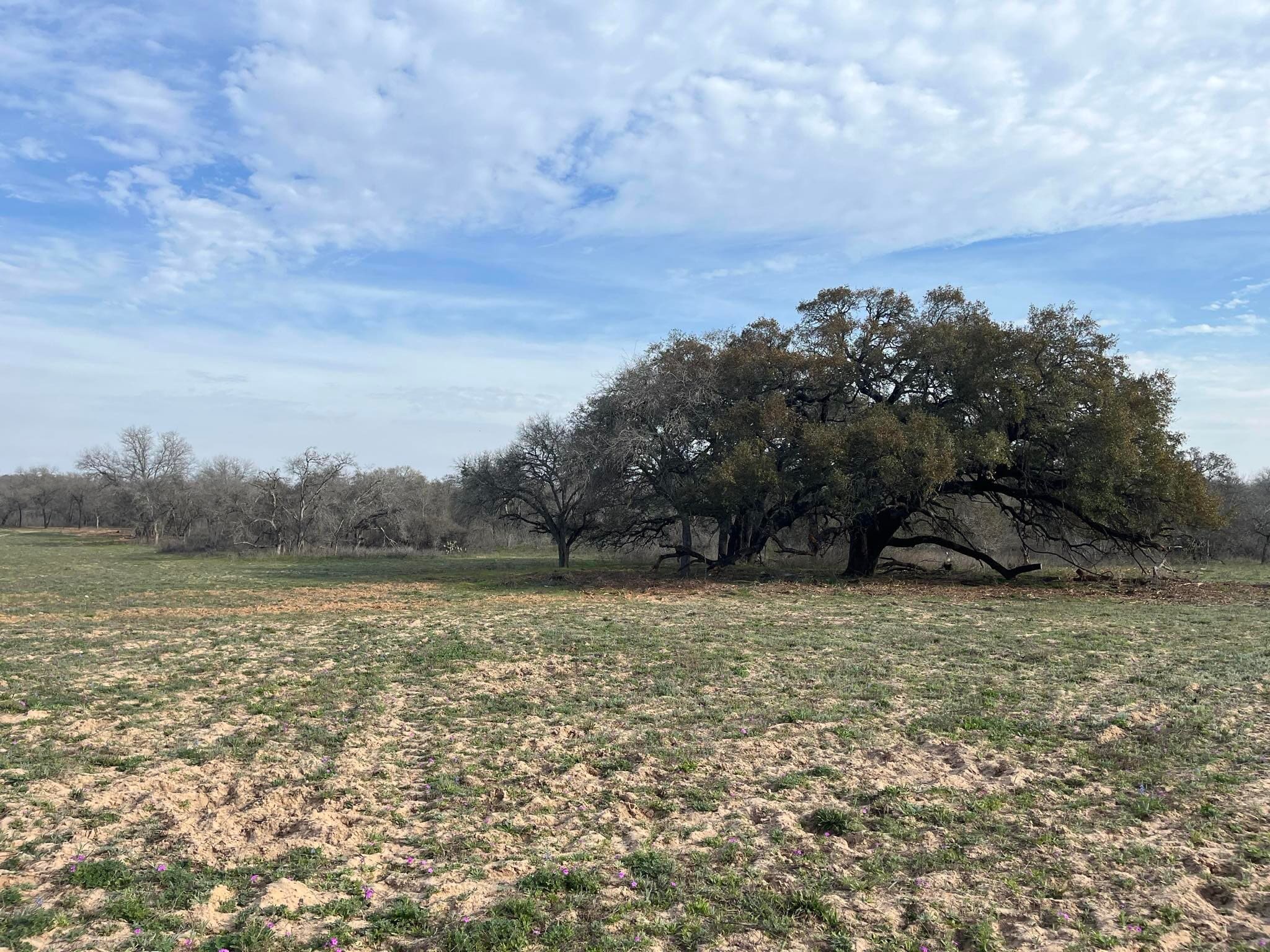 10382 W FM 476, Poteet, TX à vendre Photo principale- Image 1 de 27