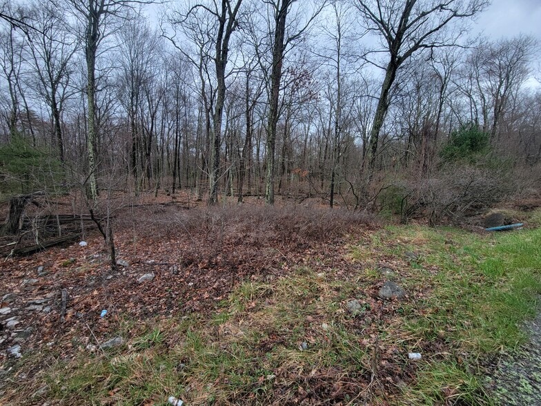 Pennsylvania 739, Dingmans Ferry, PA for sale - Building Photo - Image 3 of 8