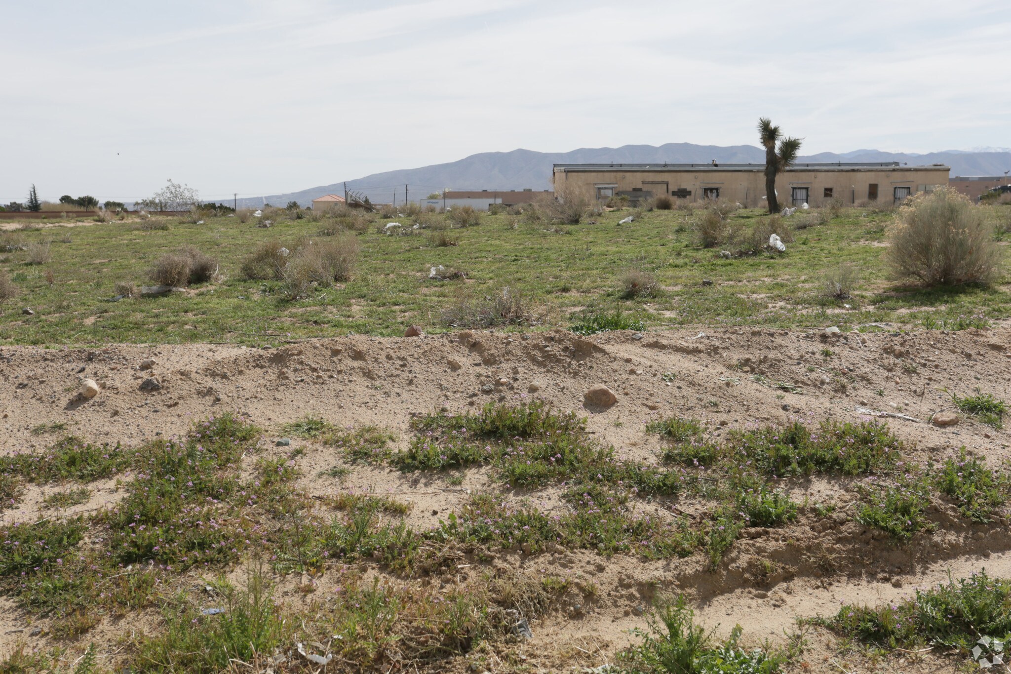 G & Juniper St, Hesperia, CA for sale Primary Photo- Image 1 of 4