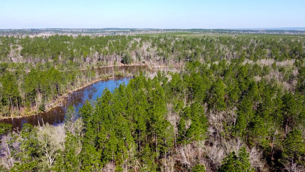 800 McKenzie Rd, Cantonment, FL à vendre - Photo du bâtiment - Image 3 de 22