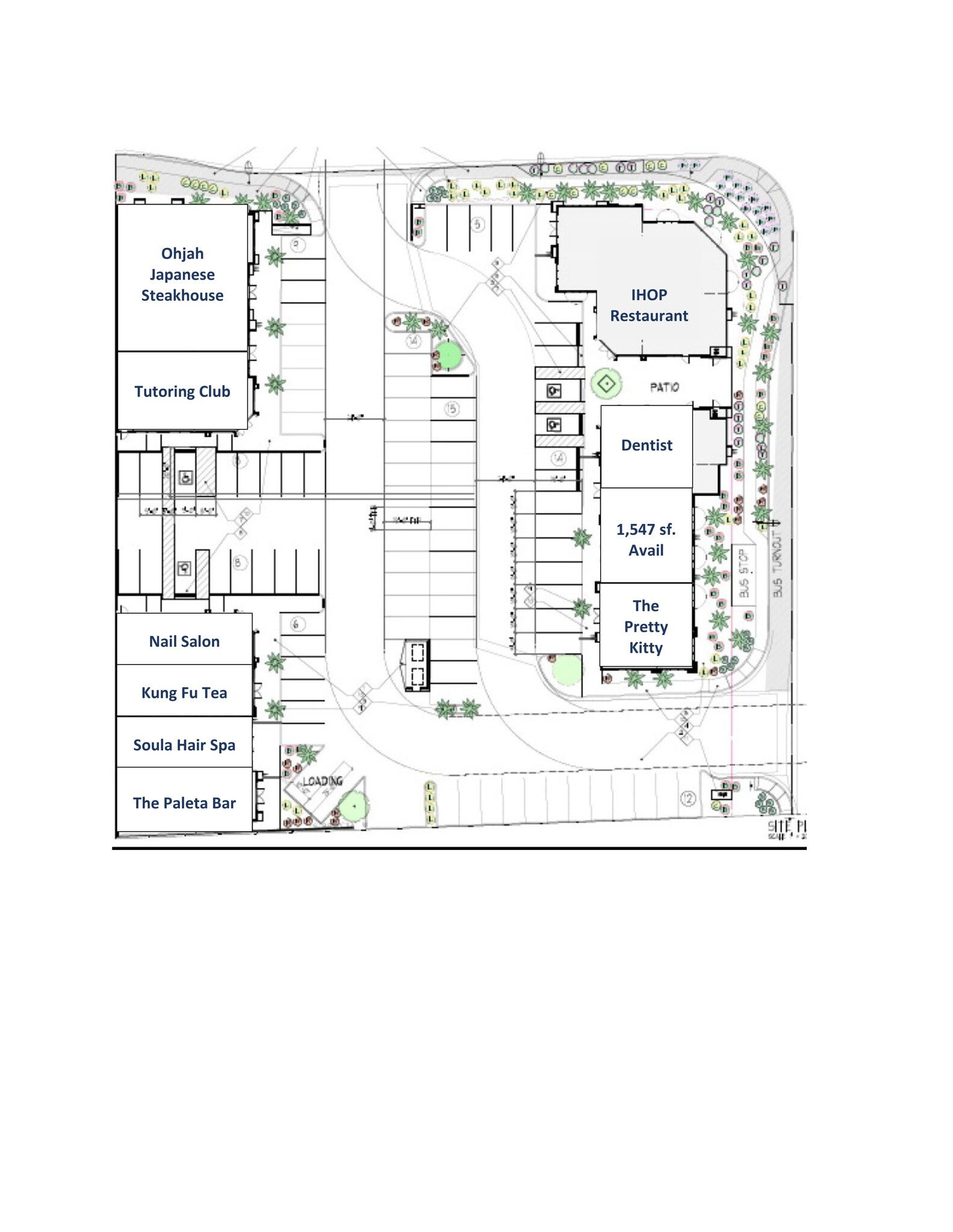 7315 S Rainbow Blvd, Las Vegas, NV for lease Site Plan- Image 1 of 1