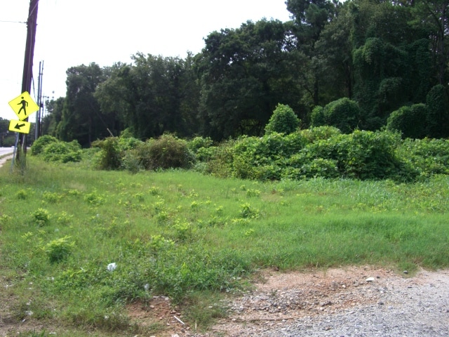 00 Martin Luther King JR Dr, Atlanta, GA for sale - Other - Image 2 of 3