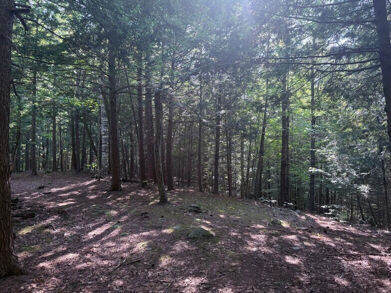 375 Ormsbee Rd, Porter Corners, NY à vendre - Autre - Image 2 de 4