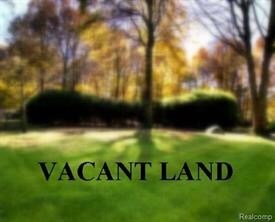 Vacant Huron River Dr, Belleville, MI à vendre Autre- Image 1 de 2
