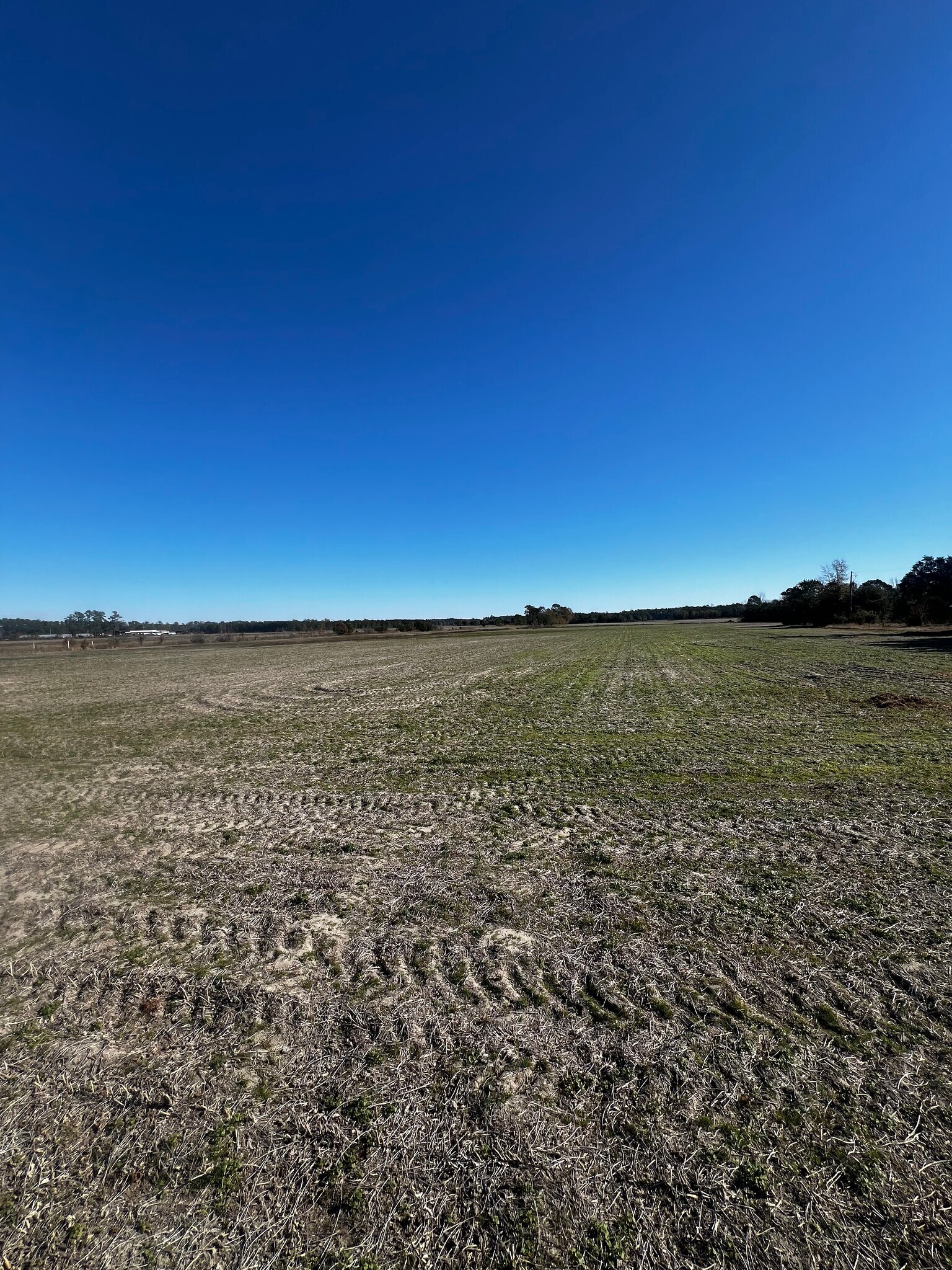 2292 Nichols hwy, Aynor, SC à vendre Autre- Image 1 de 8