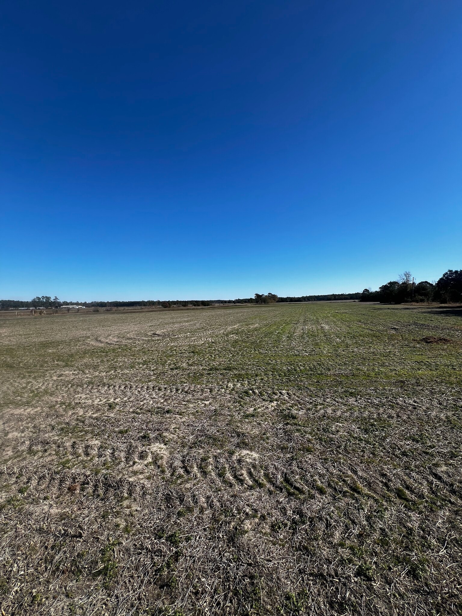 2292 Nichols hwy, Aynor, SC for sale Other- Image 1 of 8