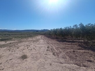 More details for Partida los Cabezos, 16, Villena - Land for Sale