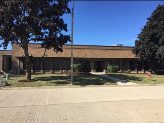 Plus de détails pour 789-791 Golf Ln, Bensenville, IL - Industriel à vendre