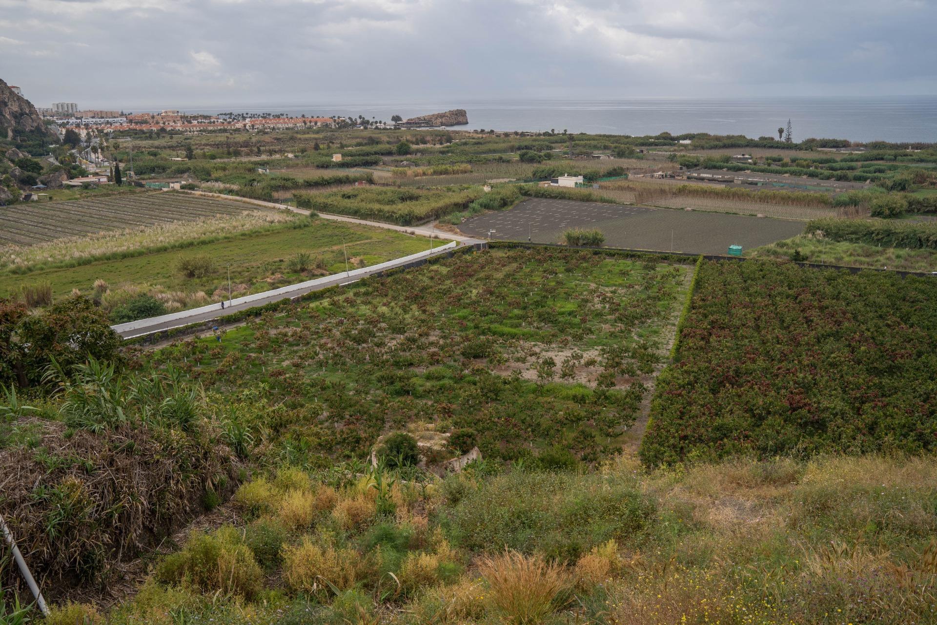 Carretera Málaga, 74, Salobreña, Granada for sale Primary Photo- Image 1 of 51