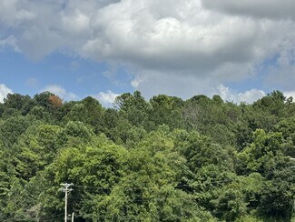 Plus de détails pour 511 E Veterans Dr, Cookeville, TN - Terrain à vendre