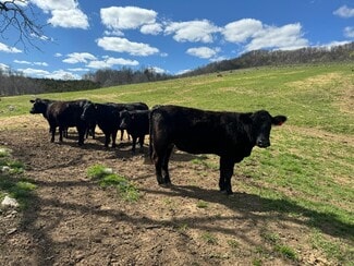 More details for Unnamed Rd, Jonesville, VA - Land for Sale