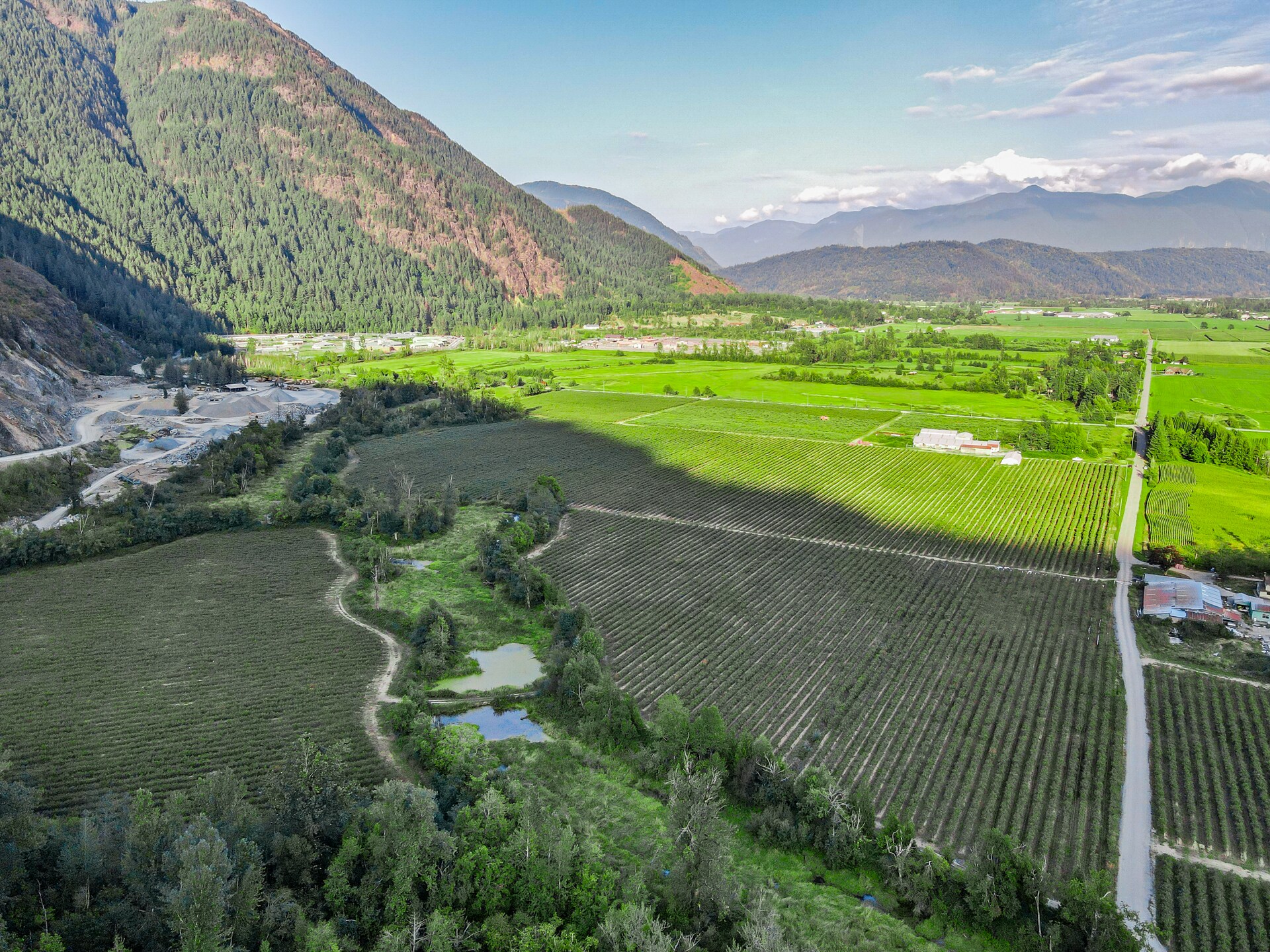 4323 Humphrey Rd, Agassiz, BC à vendre Aérien- Image 1 de 1