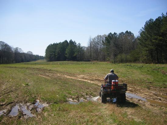 180 Acres In Winston County Ms, Noxapater, MS à vendre - Photo principale - Image 2 de 2