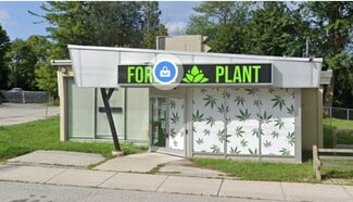 Plus de détails pour 254 Pefferlaw Rd, Georgina, ON - Commerce de détail à vendre