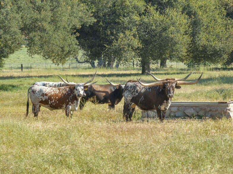 770 Limekiln Rd, Hollister, CA à vendre - Autre - Image 3 de 29