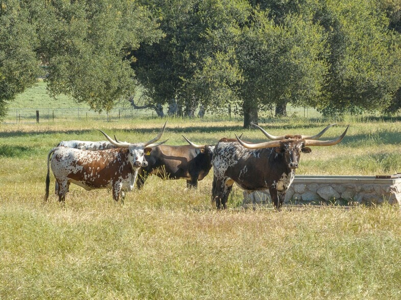 770 Limekiln Rd, Hollister, CA for sale - Other - Image 3 of 29