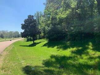 Plus de détails pour F-3 Highway 61, Natchez, MS - Terrain à vendre