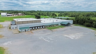 More details for 7945 Old Highway 51 N, Cobden, IL - Industrial for Sale