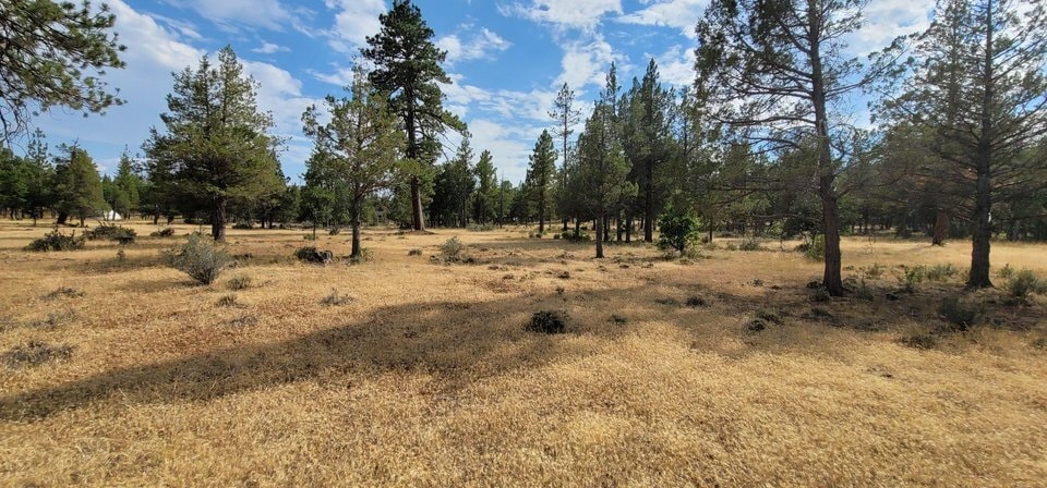 Highway 299, Burney, CA for sale - Other - Image 1 of 5