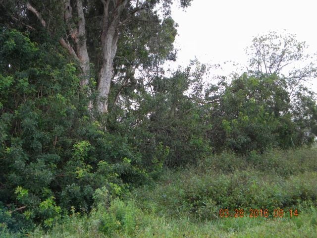 11200 NW 14th st, Plantation, FL for sale - Other - Image 2 of 5