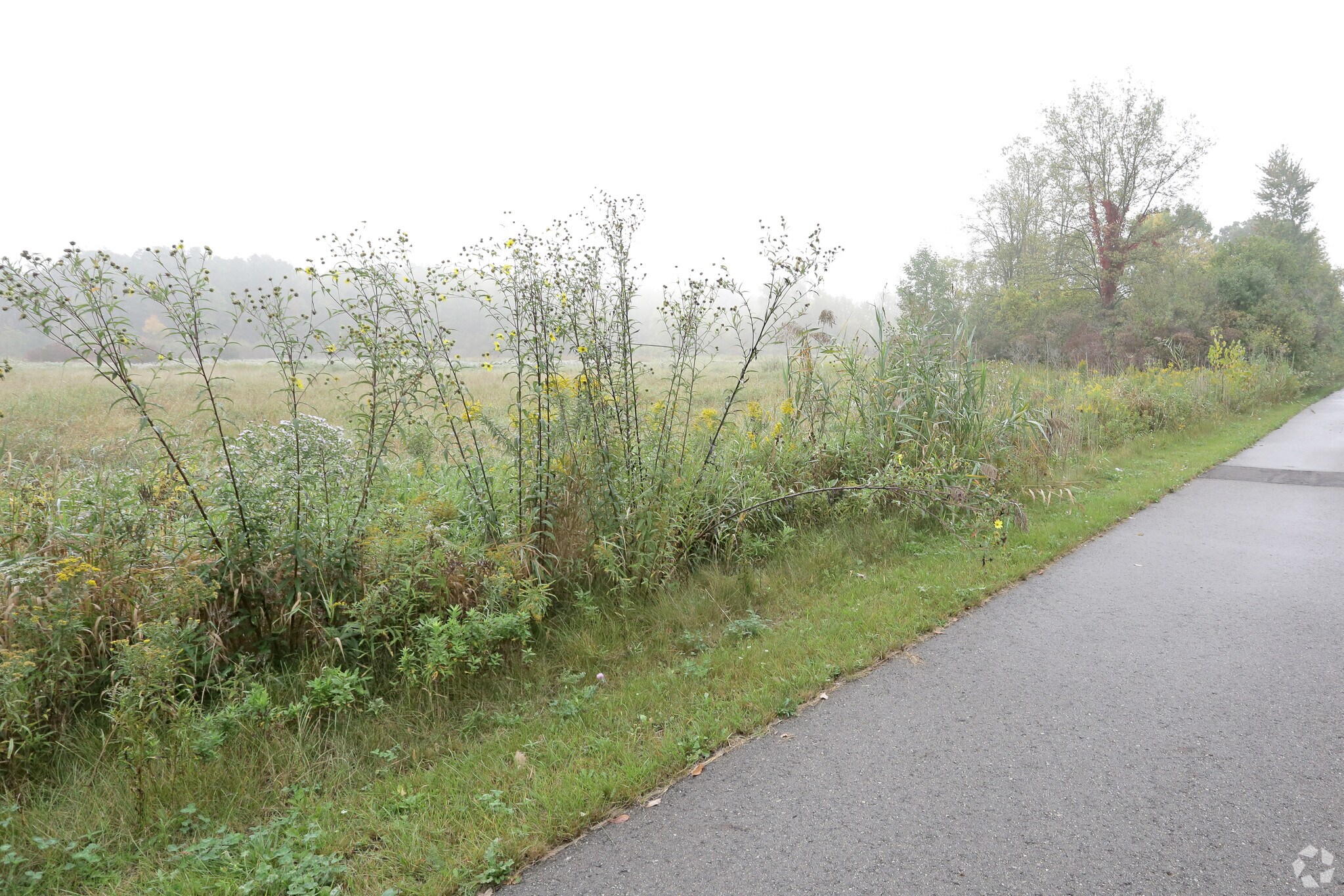 N Baldwin Rd, Orion Township, MI à vendre Photo du bâtiment- Image 1 de 2