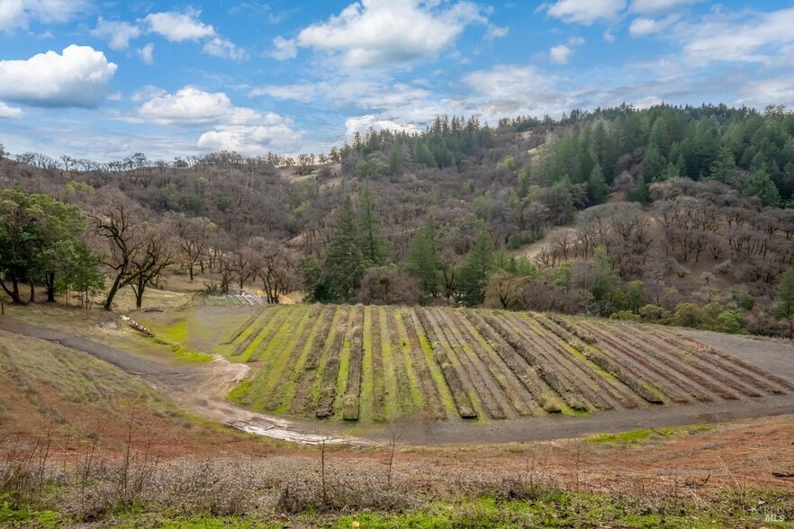 8450 Orr Springs Rd, Ukiah, CA for sale - Building Photo - Image 3 of 14