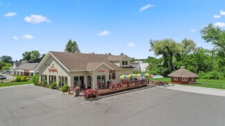Plus de détails pour 3117 Route 22, Patterson, NY - Commerce de détail à vendre