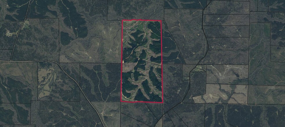 Talbot County Tract 32006A, Talbotton, GA for sale - Aerial - Image 1 of 2