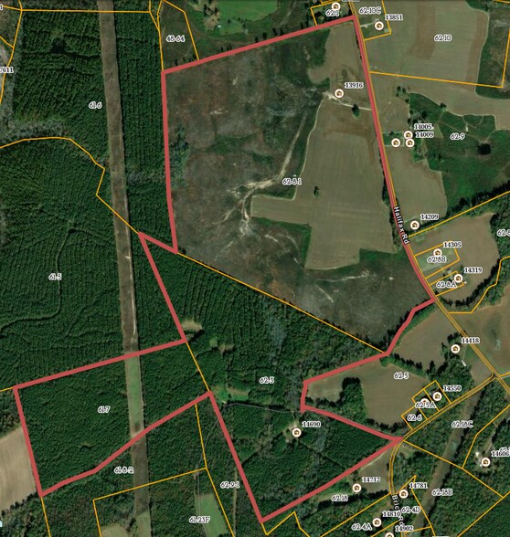 13916 Halifax Rd, Petersburg, VA à vendre - Aérien - Image 2 de 4