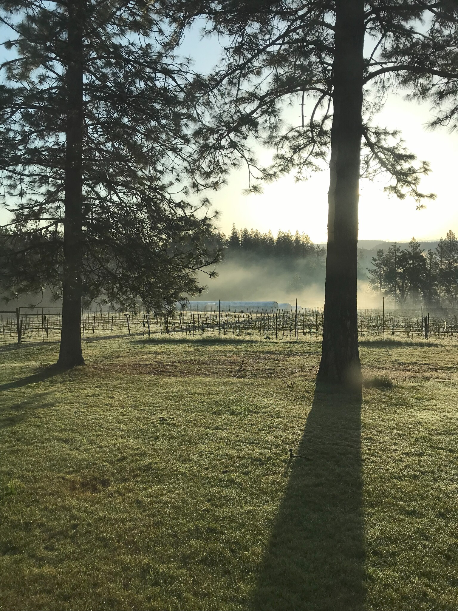 14762 Wabash Ave, Grass Valley, CA for sale Primary Photo- Image 1 of 6