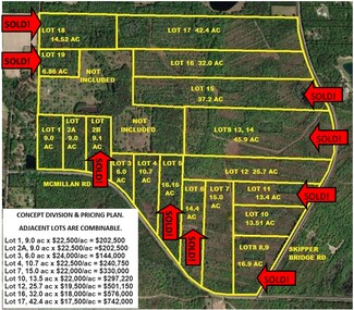 Plus de détails pour 0000 McMillan Rd & Skipper Bridge Rd, Hahira, GA - Terrain à vendre