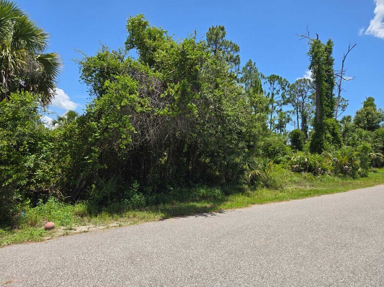 0 Antioch St, North Port, FL à vendre - Photo principale - Image 1 de 1