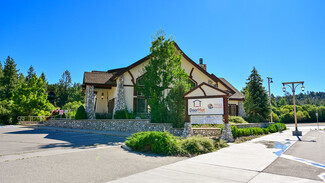 More details for 42718 Moonridge Rd, Big Bear Lake, CA - Office for Lease