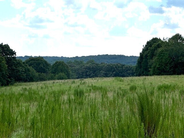 126 Von Hollen Dr, Easley, SC à vendre Photo du bâtiment- Image 1 de 7