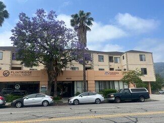 Plus de détails pour 2490-2520 Honolulu Ave, Montrose, CA - Commerce de détail à louer