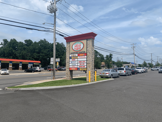 Plus de détails pour 300-318 Portion Rd, Ronkonkoma, NY - Vente au détail à louer