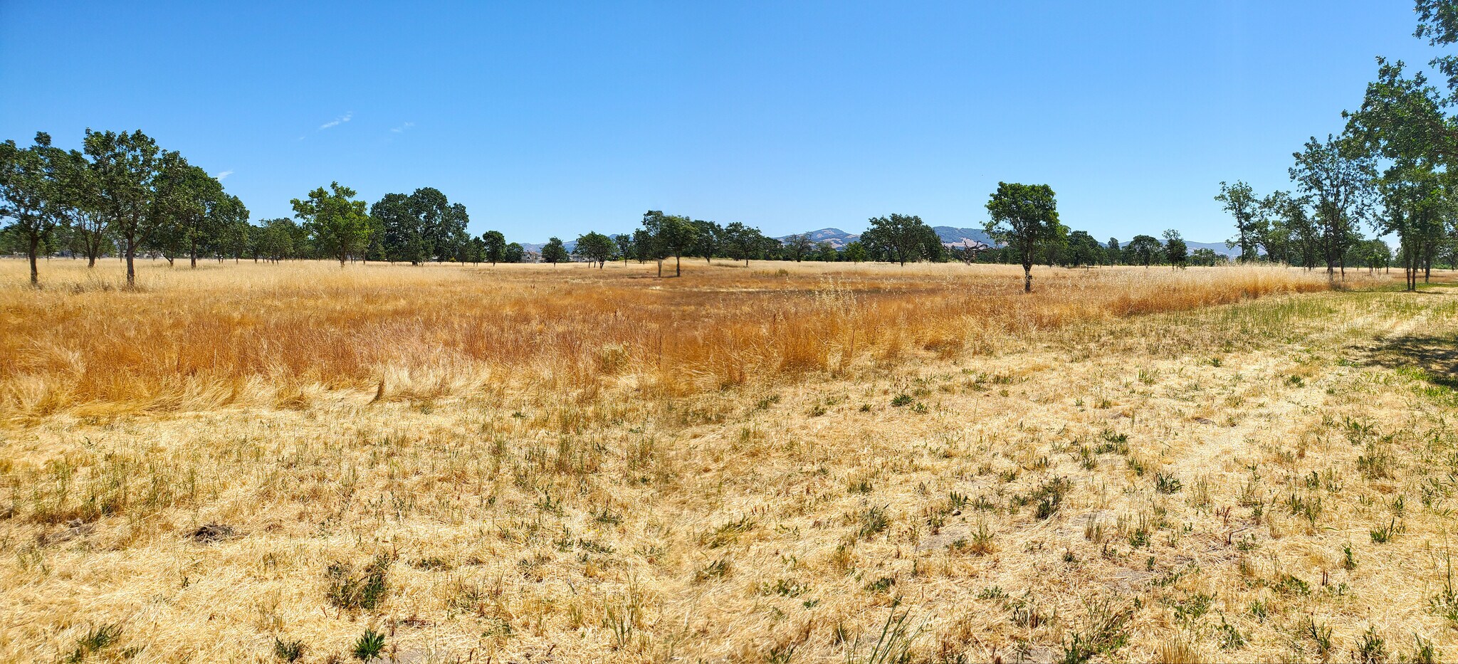 4001 Coral Sea Ave, Santa Rosa, CA à vendre Photo du bâtiment- Image 1 de 19