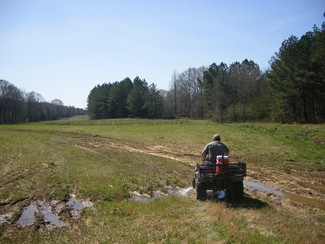 Plus de détails pour 180 Acres In Winston County Ms, Noxapater, MS - Terrain à vendre