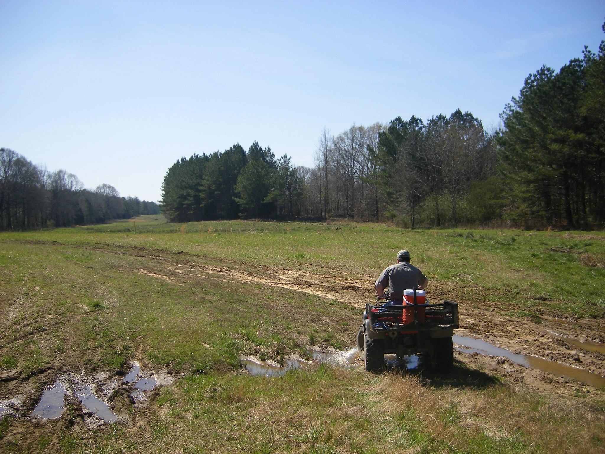 180 Acres In Winston County Ms, Noxapater, MS à vendre Photo du bâtiment- Image 1 de 3