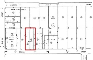 Plus de détails pour 2831 E Coronado St, Anaheim, CA - Terrain à louer