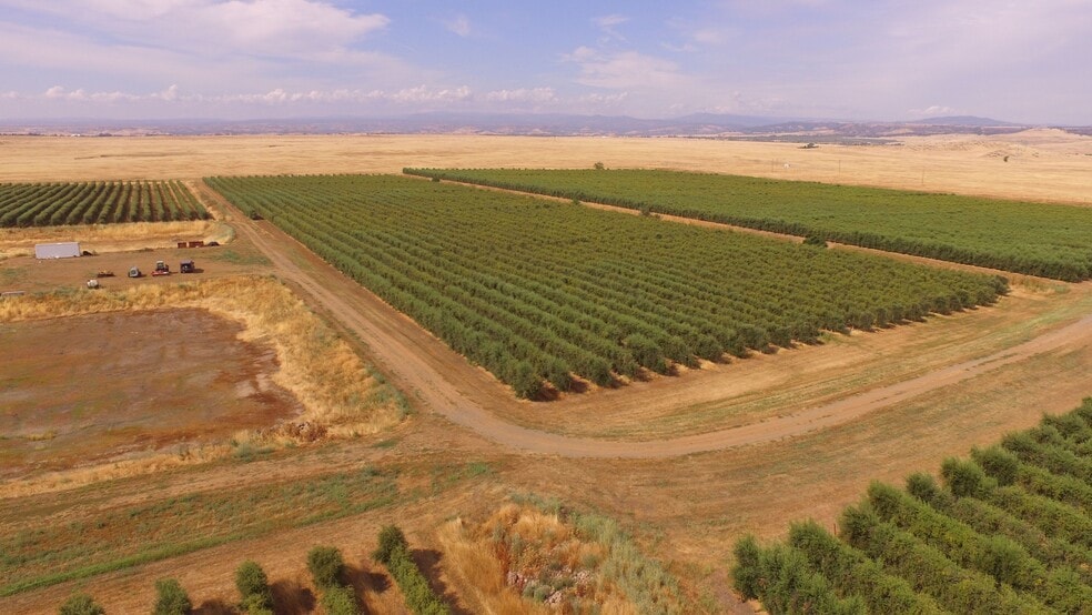 Cottonwood Road, Oroville, CA à vendre - Photo du bâtiment - Image 3 de 10