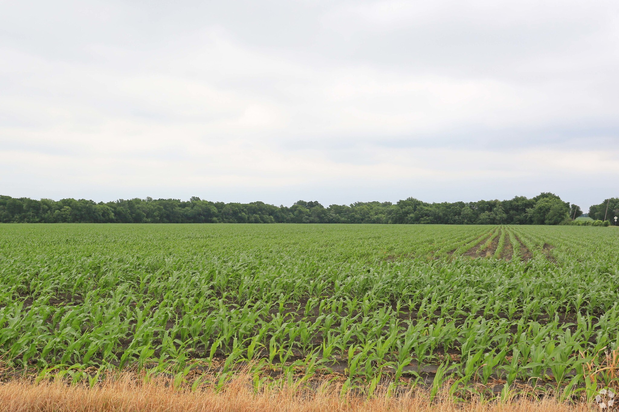 367 Oglesby Rd, Red Oak, TX à vendre Photo du bâtiment- Image 1 de 4