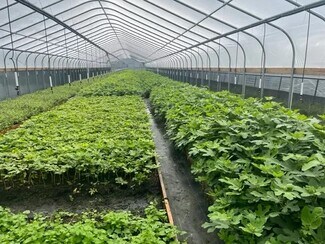 Plus de détails pour 9555 Gast Rd, Bridgman, MI - Spécialité à vendre