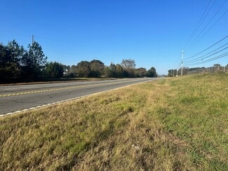 More details for 00 NE Hwy 411, Rydal, GA - Land for Sale