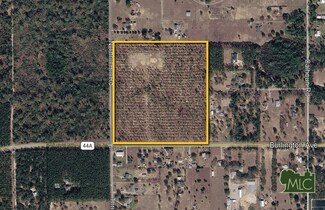 More details for 20542 County Road 44A, Eustis, FL - Land for Sale