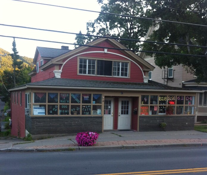 67 Main St, Stamford, NY for sale - Primary Photo - Image 1 of 1