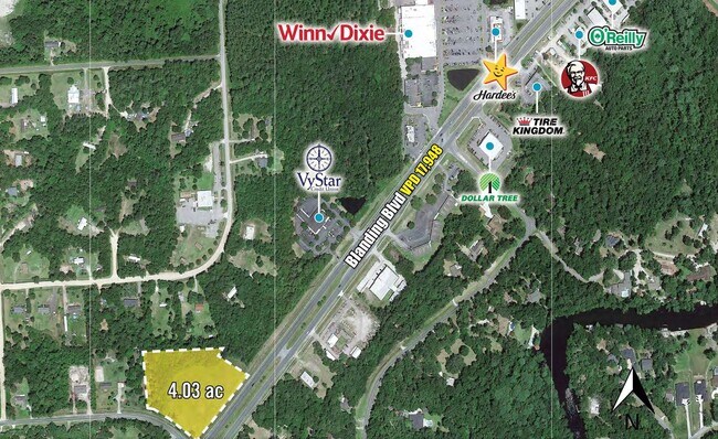 More details for 4254 Peppergrass & CR 21 St, Middleburg, FL - Land for Sale