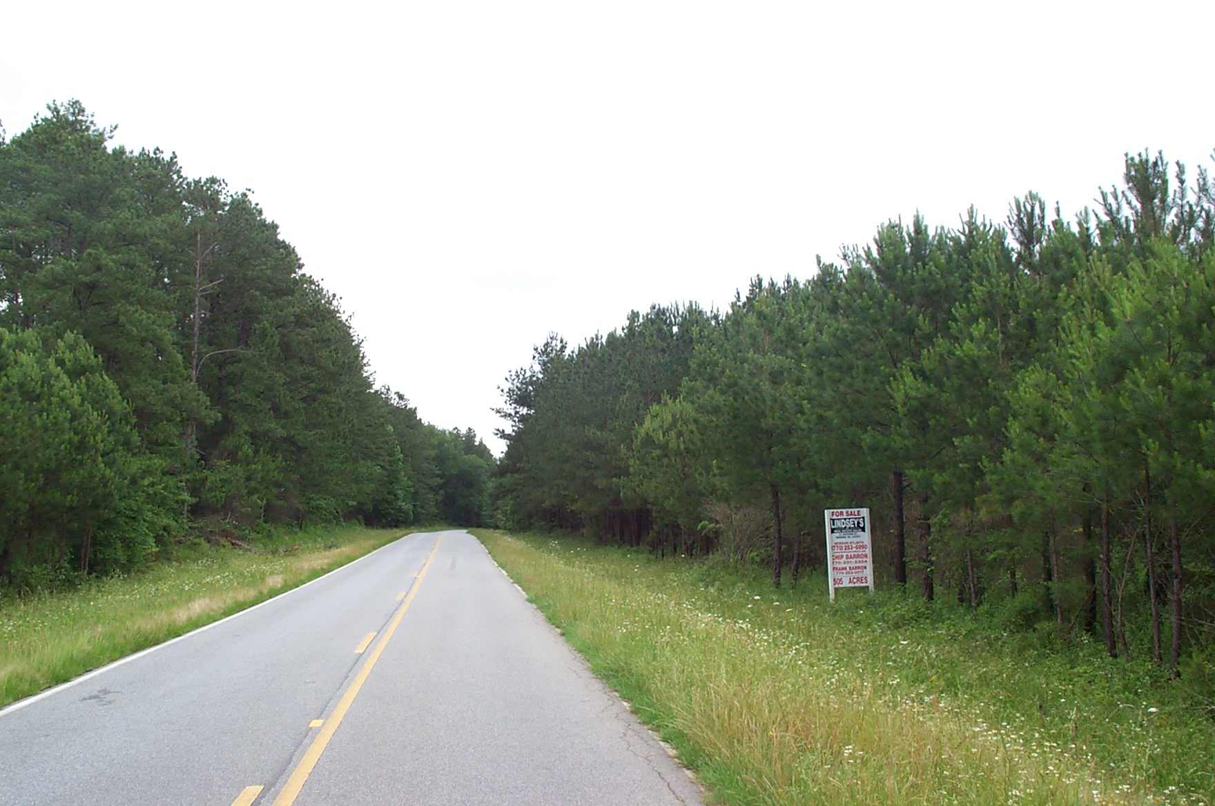 Minnie Sewell Rd, Grantville, GA for sale Primary Photo- Image 1 of 1