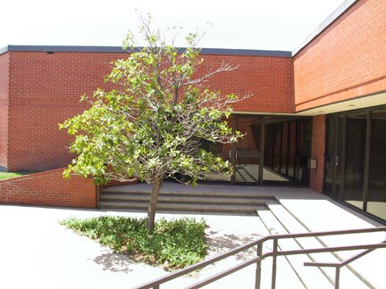 2505 Lakeview Dr, Amarillo, TX à louer - Photo du bâtiment - Image 2 de 4